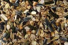 Meerschweinchenfutter 5 KG